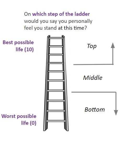 Ladder Q1 only